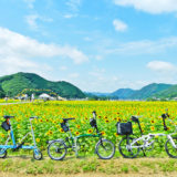 佐用町の「ひまわり畑」の風景