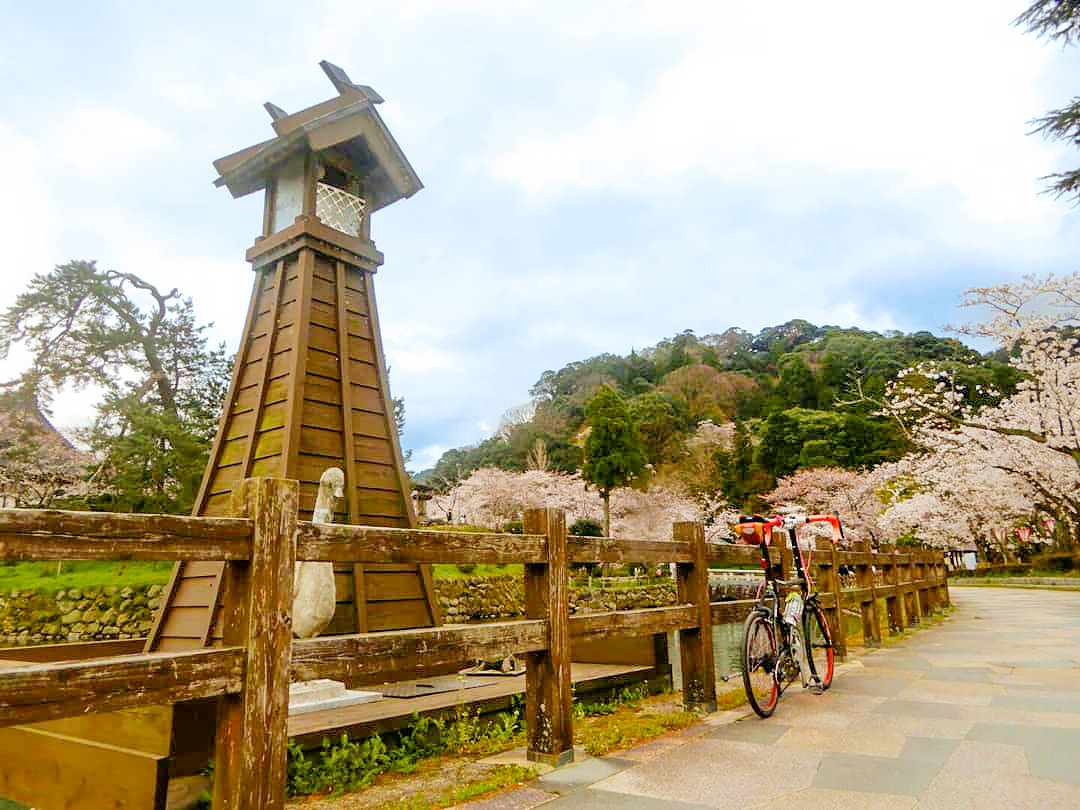 鳥取市内の桜花・紅葉の名所「鹿野城跡公園」の風景