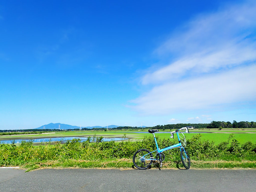 小貝川自転車道の途中、福岡堰付近の風景