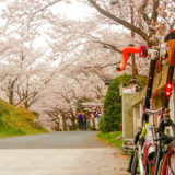 鳥取市内の桜花・紅葉の名所「鹿野城跡公園」の風景