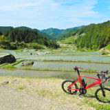 「四谷の千枚田」の棚田の風景